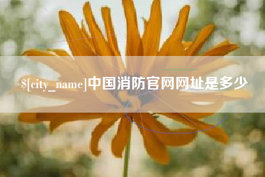 天水中国消防官网网址是多少