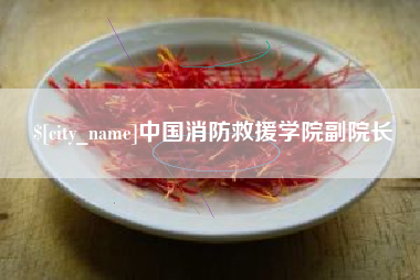 天水中国消防救援学院副院长