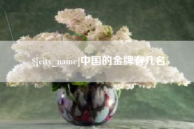 天水中国的金牌有几名