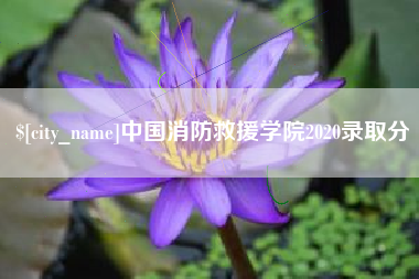 天水中国消防救援学院2020录取分