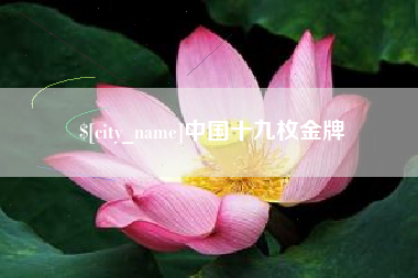 天水中国十九枚金牌