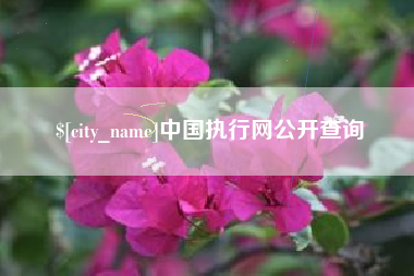 天水中国执行网公开查询