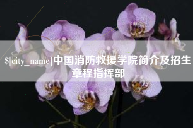 天水中国消防救援学院简介及招生章程指挥部
