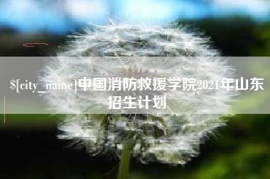 天水中国消防救援学院2021年山东招生计划