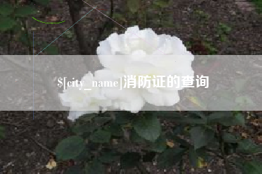 天水消防证的查询