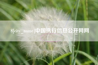 天水中国执行信息公开网网