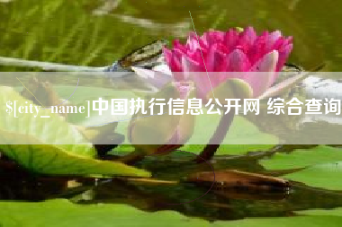 天水中国执行信息公开网 综合查询