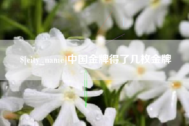 天水中国金牌得了几枚金牌