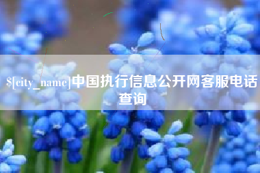 天水中国执行信息公开网客服电话查询