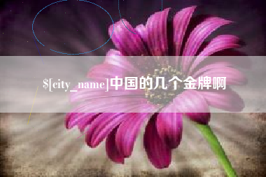 天水中国的几个金牌啊