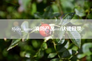天水消防产品cccf认证目录