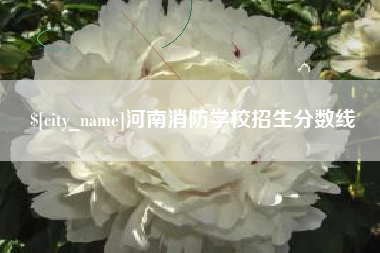 天水河南消防学校招生分数线