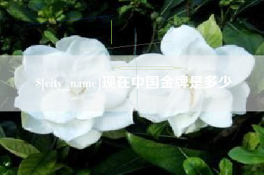 天水现在中国金牌是多少