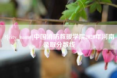 天水中国消防救援学院2020年河南录取分数线