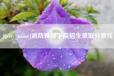 天水消防救援学院招生录取分数线