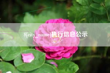 天水执行信息公示