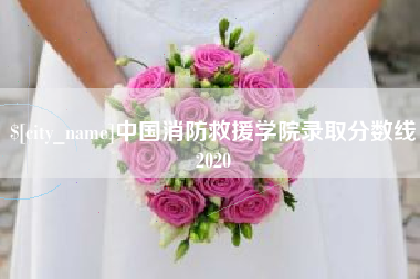 天水中国消防救援学院录取分数线2020