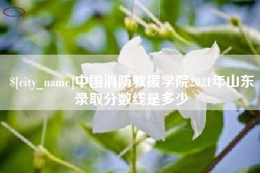 天水中国消防救援学院2021年山东录取分数线是多少