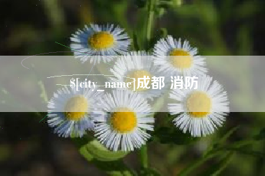 天水成都 消防
