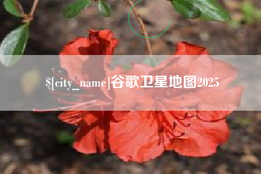 天水谷歌卫星地图2025