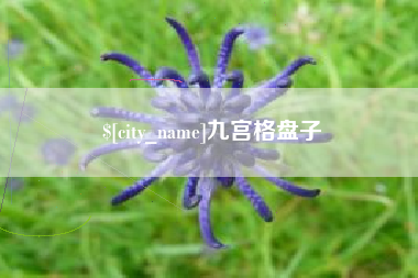 天水九宫格盘子