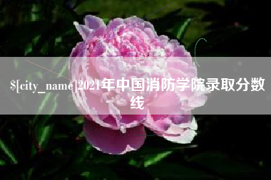 天水2021年中国消防学院录取分数线