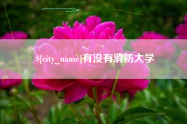 天水有没有消防大学
