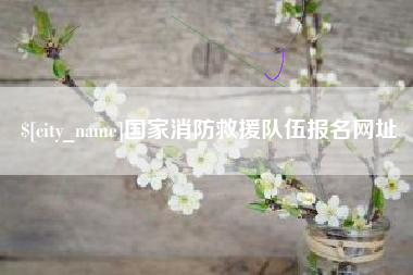 天水国家消防救援队伍报名网址