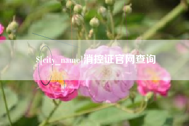 天水消控证官网查询