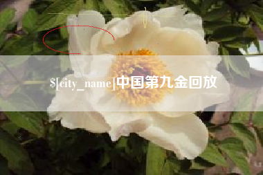 天水中国第九金回放