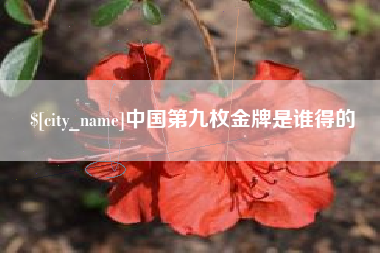 天水中国第九枚金牌是谁得的