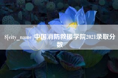 天水中国消防救援学院2021录取分数