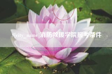 天水消防救援学院报考条件