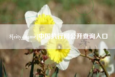 天水中国执行网公开查询入口