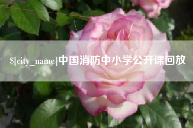 天水中国消防中小学公开课回放