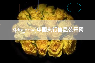 天水中国执行信息公开网