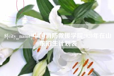 天水中国消防救援学院2020年在山东招生计划表