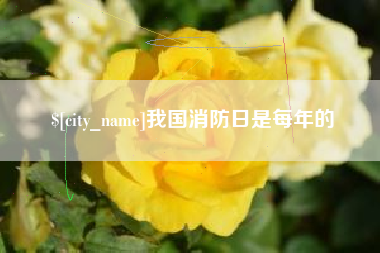 天水我国消防日是每年的