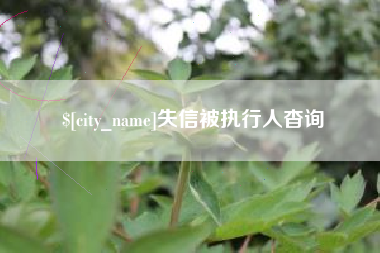 天水失信被执行人杳询