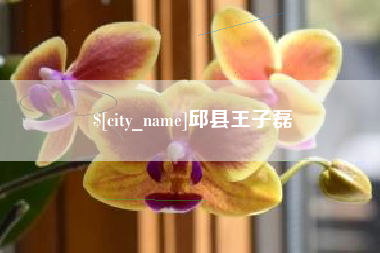 天水邱县王子磊