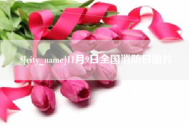 天水11月9日全国消防日图片