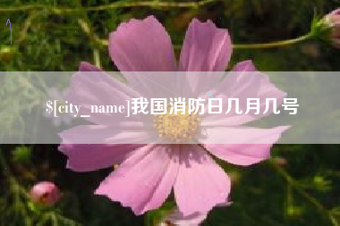 天水我国消防日几月几号