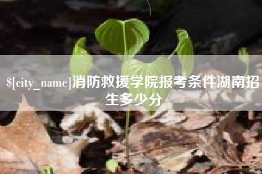 天水消防救援学院报考条件湖南招生多少分