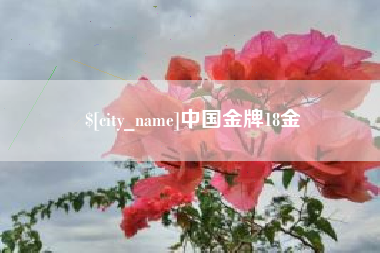 天水中国金牌18金