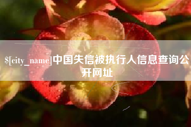 天水中国失信被执行人信息查询公开网址