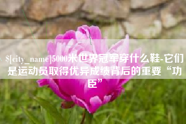 天水5000米世界冠军穿什么鞋-它们是运动员取得优异成绩背后的重要“功臣”