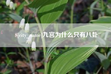 天水九宫为什么只有八卦