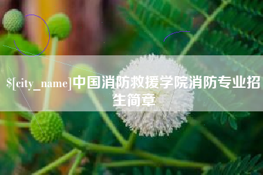 天水中国消防救援学院消防专业招生简章