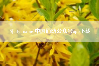 天水中国消防公众号app下载