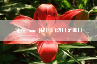 天水我国消防日是哪日